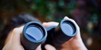 Qu’observe réellement l’observatoire de la GEPPMM ?