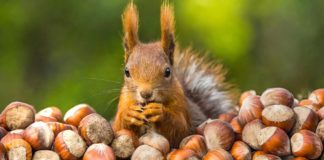 Jours de RTT : On ne nous dit pas tout !