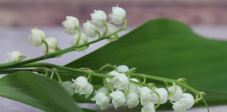 Bonne fête du 1er mai à tous nos collègues Adecco !