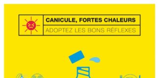Canicule et santé au travail : prévenir les risques liés aux fortes chaleurs