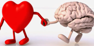 L’intelligence émotionnelle (IE) : l’inaliénable atout humain